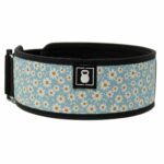 2POOD DAISIES BY TASIA PERCEVECZ<br>Weightlifting Belt